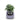 Ivy Smart Plant AI-Powered